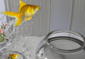 ¿En tu casa o en la mía?: por qué cada vez más mujeres no quieren vivir con su pareja